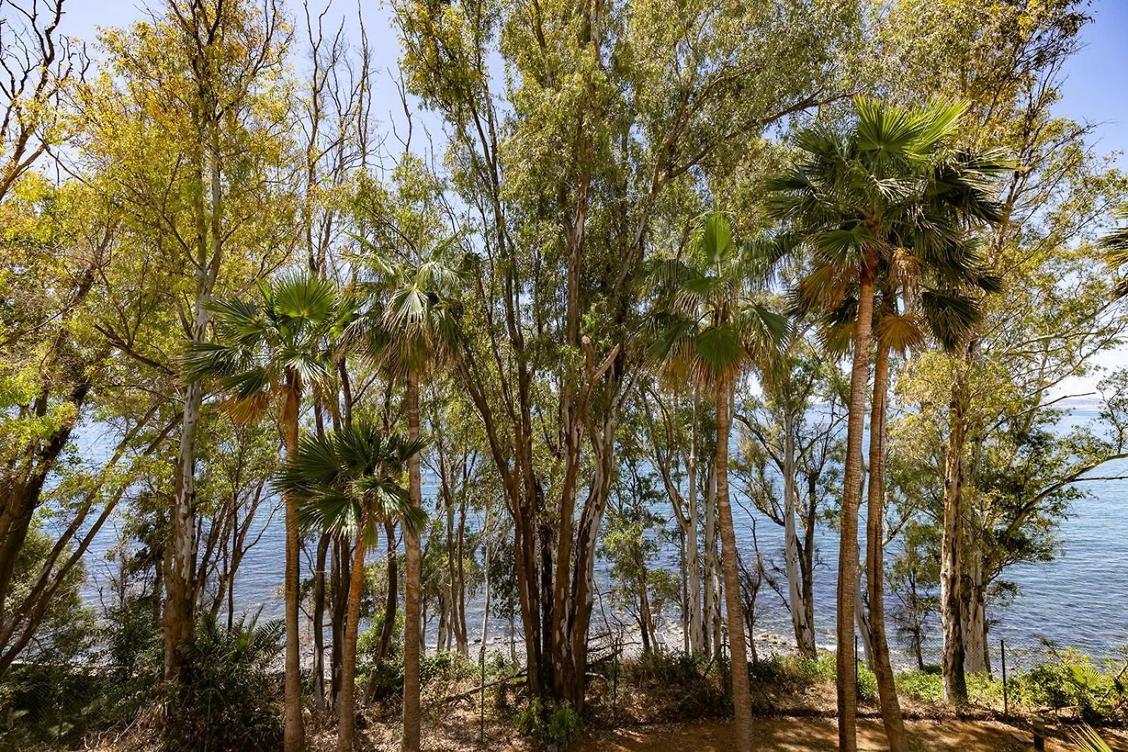 Apartment Alegro - Gerenoveerd Appartement Direct Aan Zee Estepona